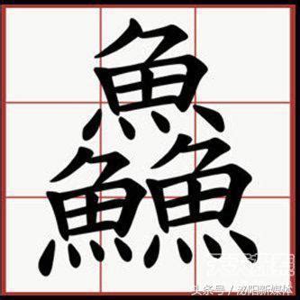 三個魚是什麼字|三個魚念什麼字？鱻的讀音和意思